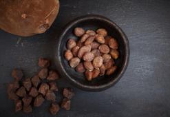 Amazonian cupuaçu-voi - rasvahappojen tasapainoa syväkosteutusta varten