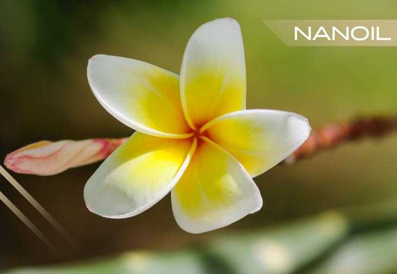 Monoi-öljy hiustenhoidossa - upea ja hyväntuoksuinen tulokas Tahitilta