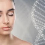 Virheettömän Ihon Tietosanakirja: KANTASOLUT